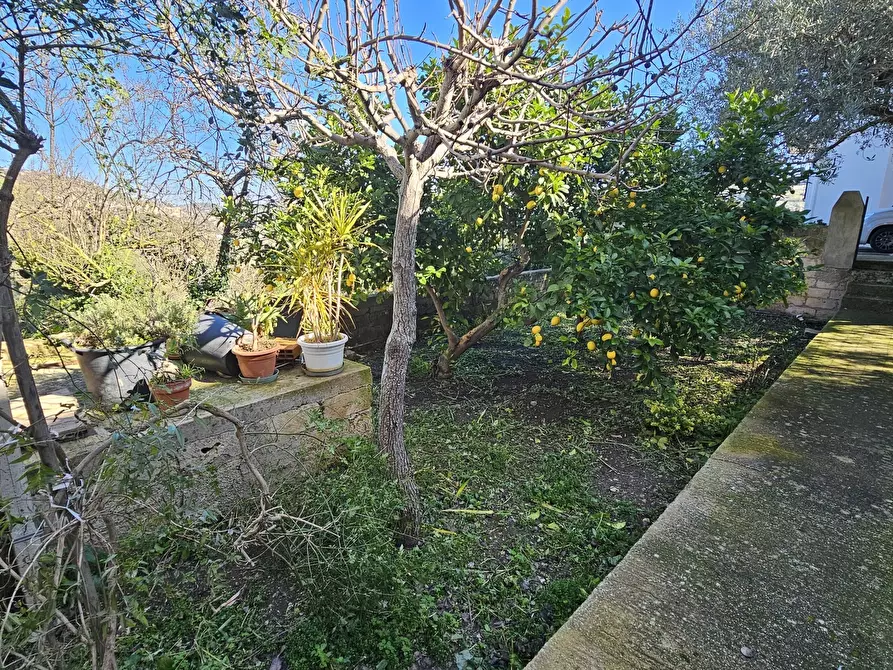 Immagine 3 di Appartamento in vendita  a Modica