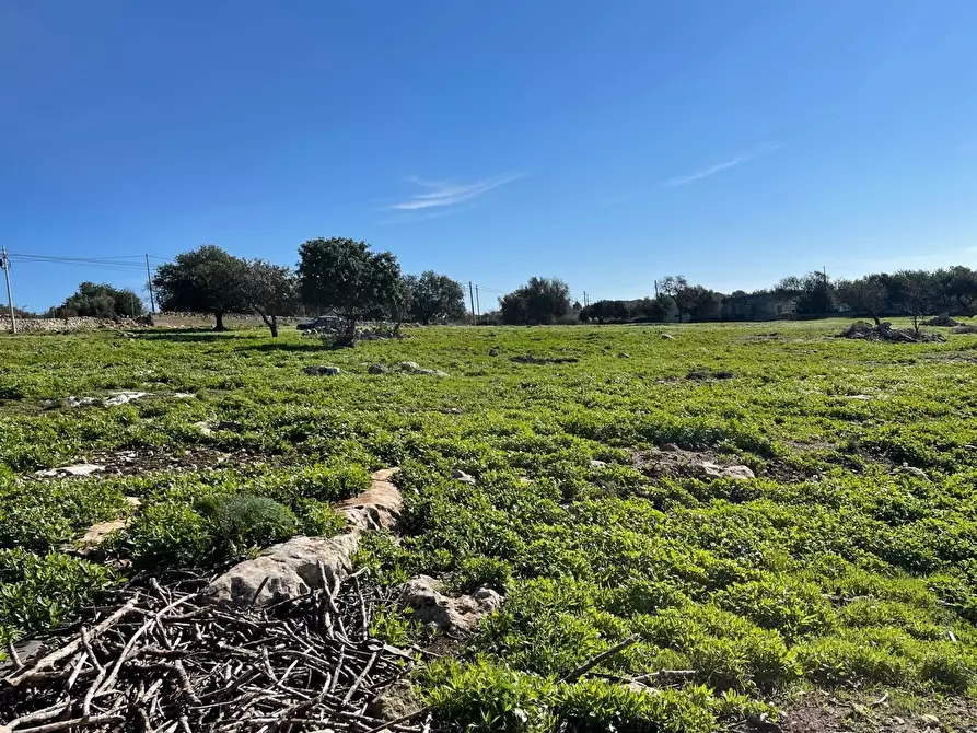 Immagine 4 di Terreno agricolo in vendita  in Contrada San Marco a Scicli