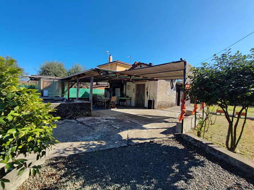 Immagine 2 di Terreno agricolo in vendita  a Arcola