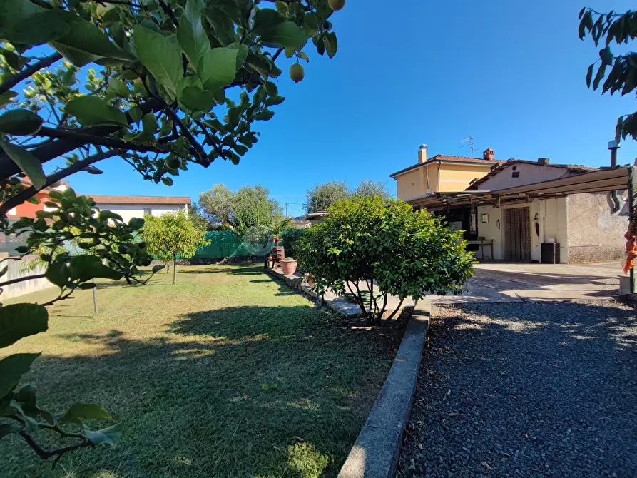 Immagine 1 di Terreno agricolo in vendita  a Arcola