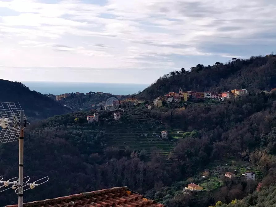 Immagine 5 di Terratetto in vendita  a Arcola