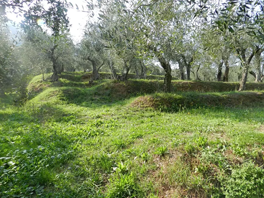 Immagine 14 di Rustico / casale in vendita  in Via di Villa Gaia 508 a Lucca