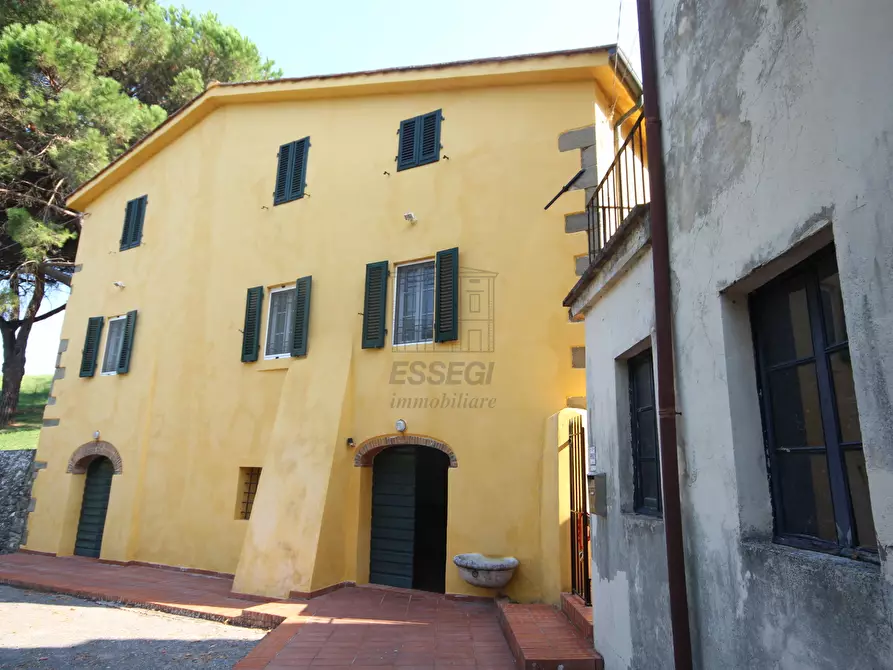 Immagine 8 di Azienda agricola in vendita  in Via Tofori a Capannori
