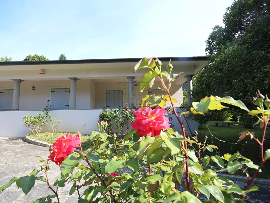 Immagine 7 di Villa in vendita  in via pradalino a Camaiore