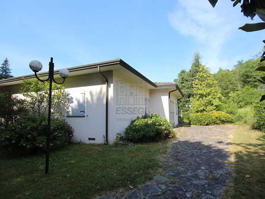 Immagine 9 di Villa in vendita  in via pradalino a Camaiore