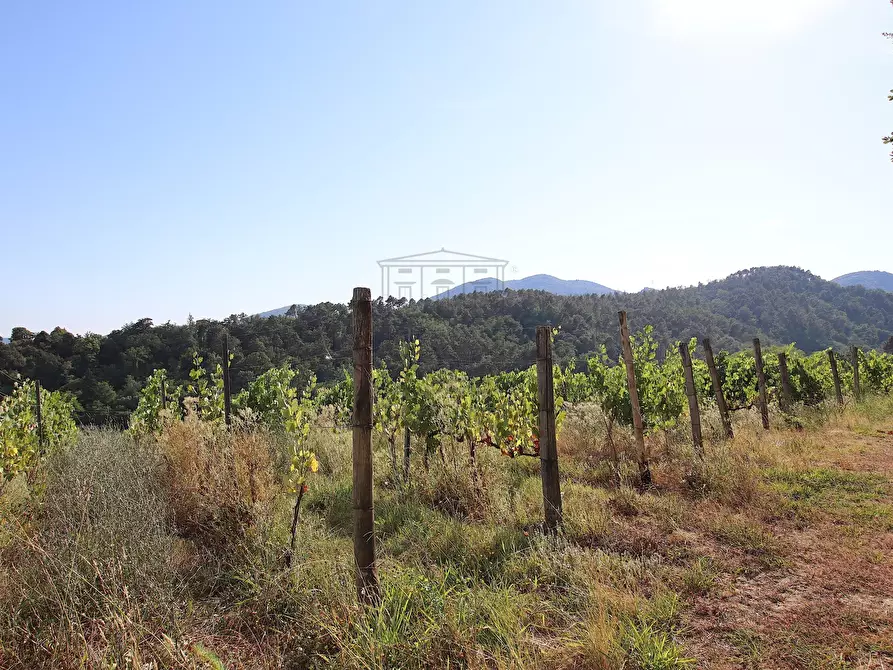 Immagine 14 di Rustico / casale in vendita  in Via del Francia 95 a Lucca