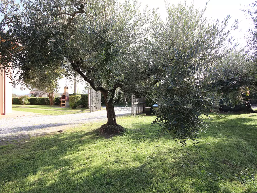 Immagine 18 di Casa indipendente in vendita  in Via di Tiglio 611 a Capannori