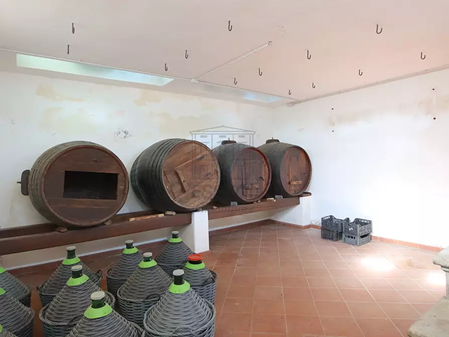 Immagine 52 di Rustico / casale in vendita  in Via Fraga Alta 1 a Capannori