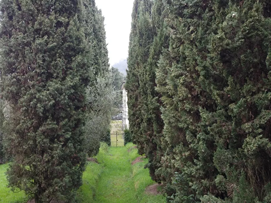 Immagine 4 di Villa in vendita  in via di montecatino a Lucca