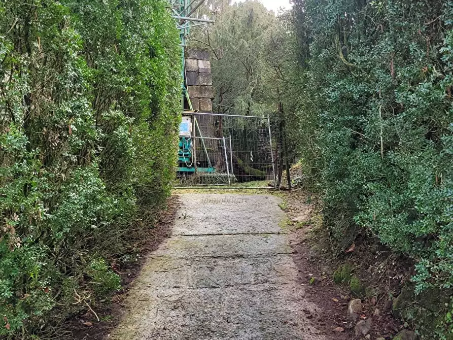 Immagine 15 di Villa in vendita  in via Colli 23 a Pescaglia