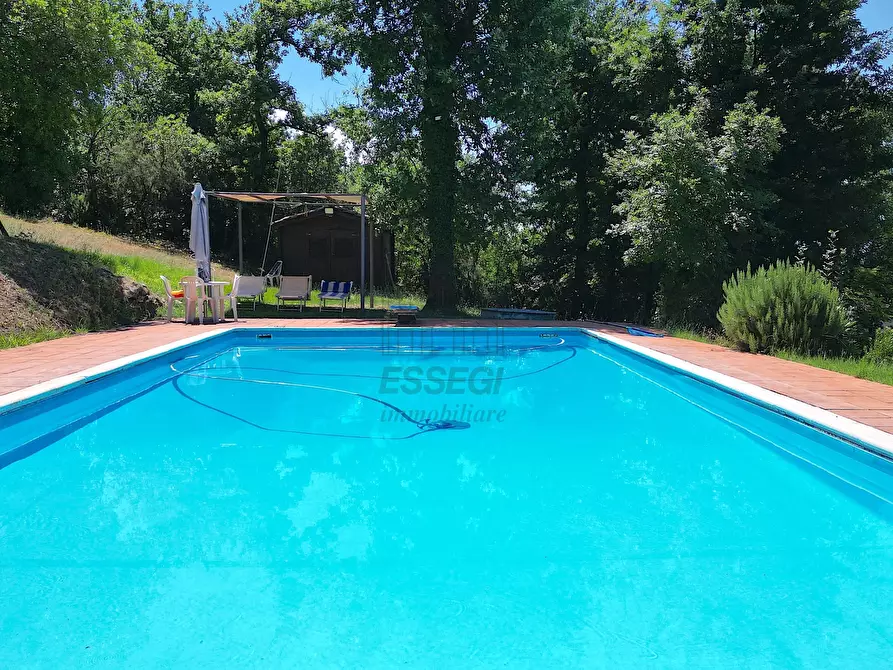 Immagine 5 di Villa in vendita  in Via dei Borelli a Lucca