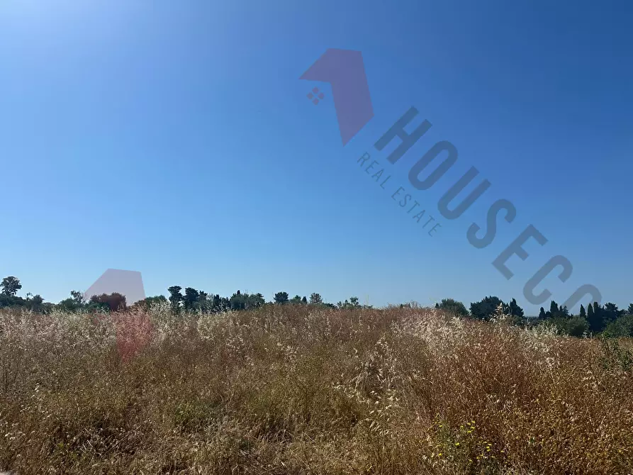 Immagine 3 di Terreno agricolo in vendita  a Quartu Sant'elena