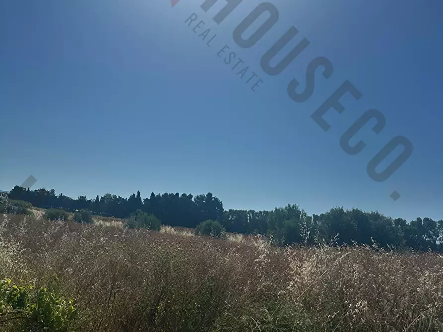 Immagine 3 di Terreno agricolo in vendita  a Quartu Sant'elena