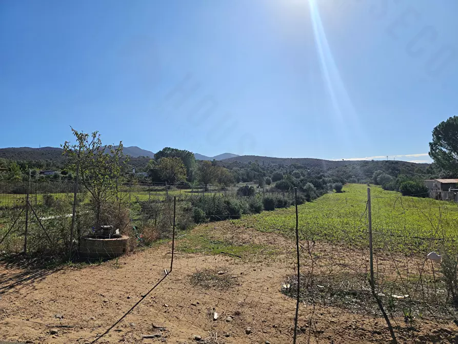 Immagine 3 di Terreno agricolo in vendita  in Via delle More a Quartucciu