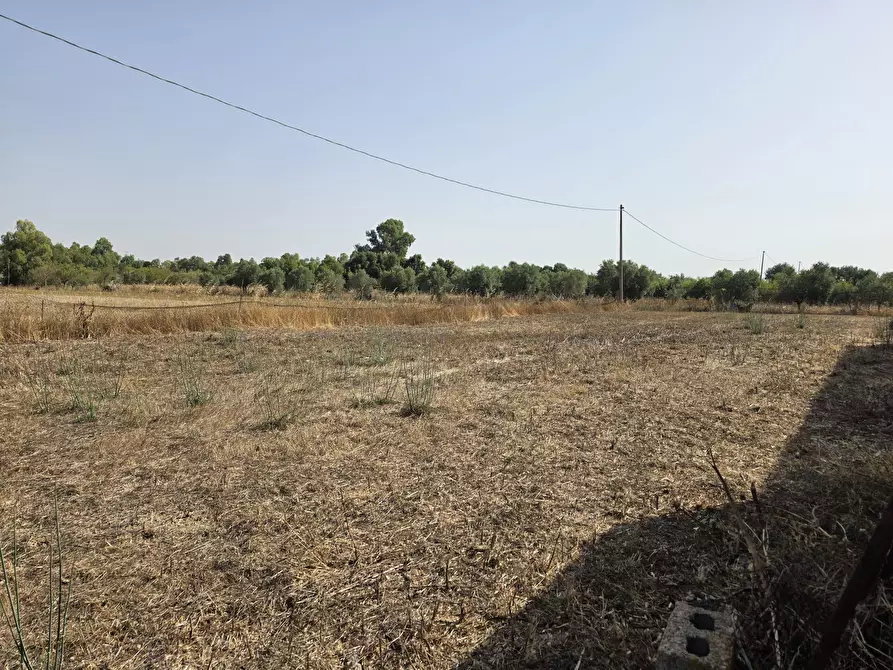Immagine 4 di Capannone industriale in vendita  a San Sperate