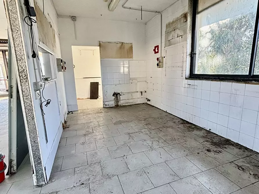 Immagine 4 di Bar / Ristorante in vendita  a Ameglia