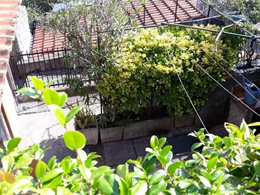 Immagine 8 di Casa indipendente in vendita  a Ameglia