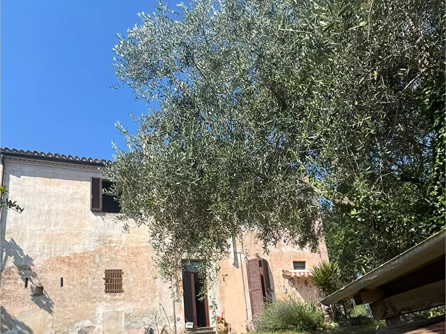 Immagine 20 di Casa indipendente in vendita  in Contrada Colle a Montecarotto