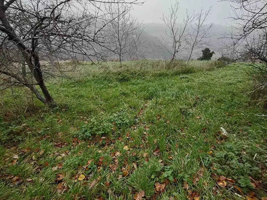 Immagine 20 di Casa indipendente in vendita  in Coste del molino snc a Poggio San Marcello