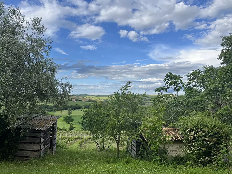 Immagine 3 di Casa indipendente in vendita  in Contrada Colle a Montecarotto