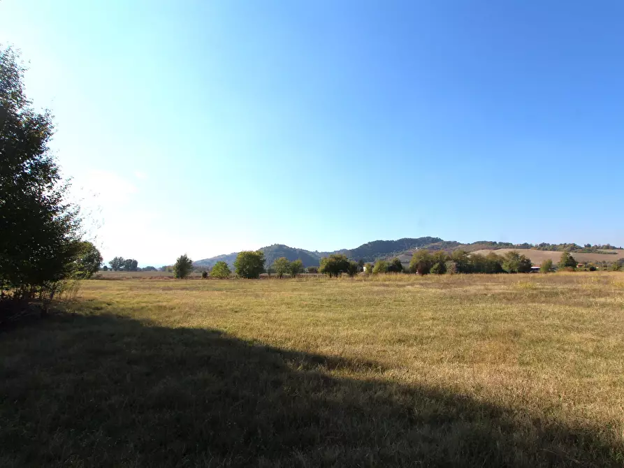 Immagine 9 di Terreno industriale in vendita  in Via Cassola a Valsamoggia