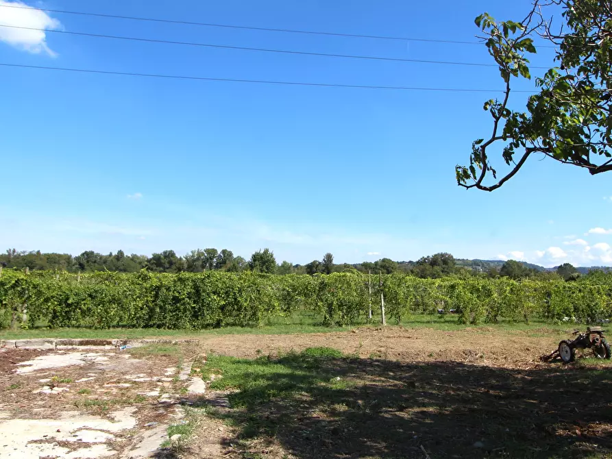 Immagine 15 di Porzione di casa in vendita  in Via Monteveglio a Valsamoggia