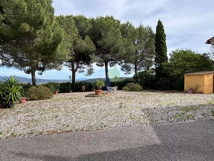 Immagine 2 di Rustico / casale in vendita  in Via Traversa Livornese 11 a Rosignano Marittimo