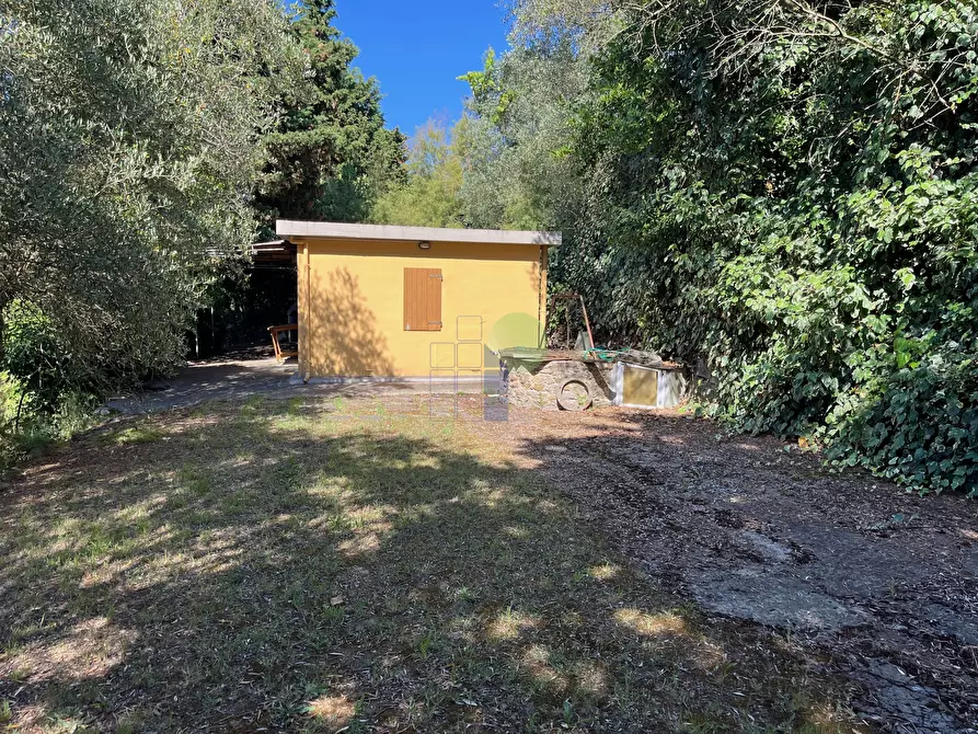 Immagine 3 di Terreno agricolo in vendita  in Via delle More 8 a Livorno