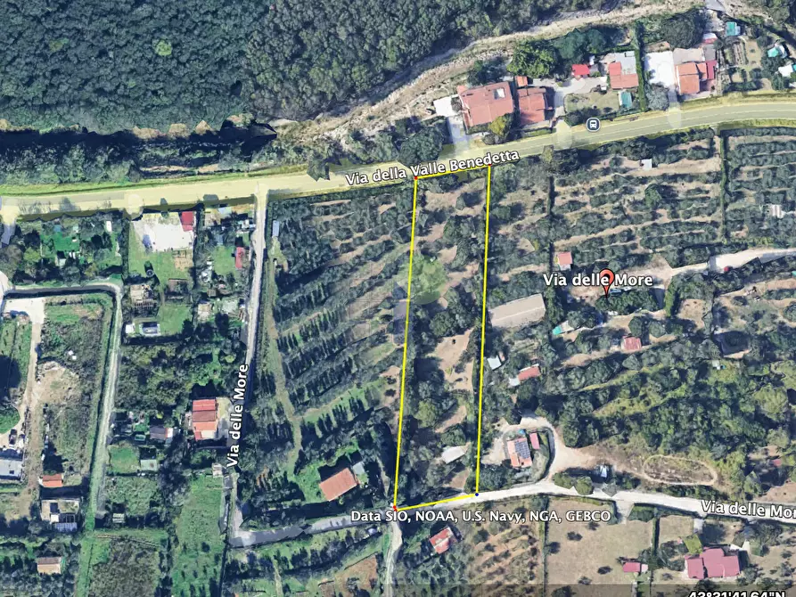 Immagine 21 di Terreno agricolo in vendita  in Via delle More 8 a Livorno