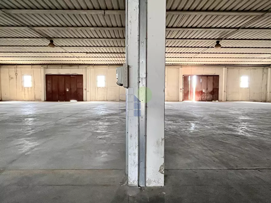 Immagine 9 di Capannone industriale in vendita  in Via per Rosignano 11 a Rosignano Marittimo