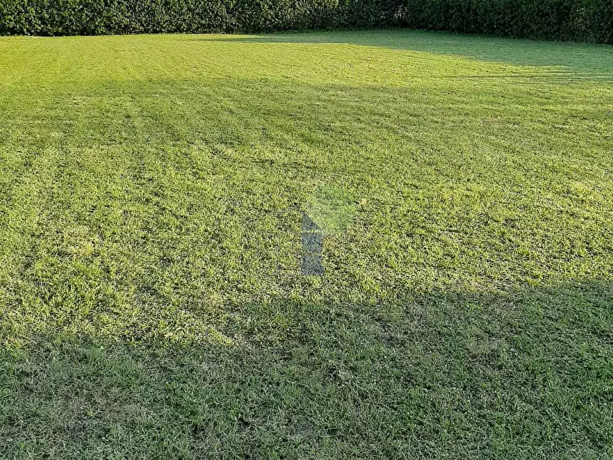 Immagine 9 di Terreno agricolo in vendita  in Via della Padula 12 a Livorno