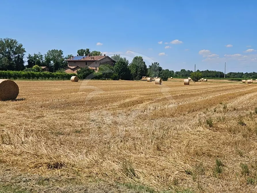 Immagine 30 di Rustico / casale in vendita  a Valsamoggia