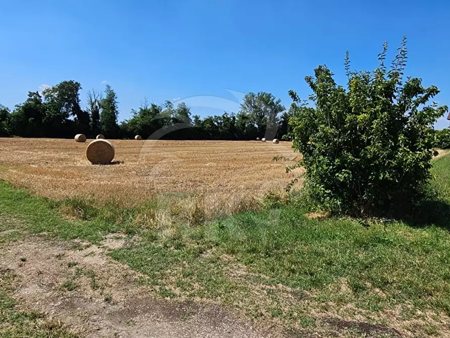 Immagine 28 di Rustico / casale in vendita  a Valsamoggia