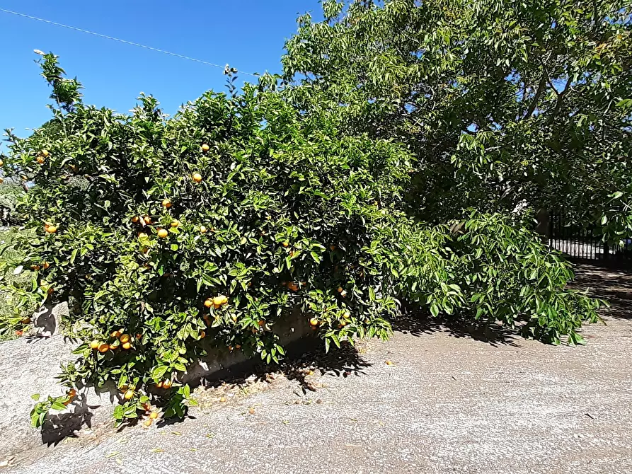 Immagine 23 di Rustico / casale in vendita  in Strada Provinciale 24 21 a Noto