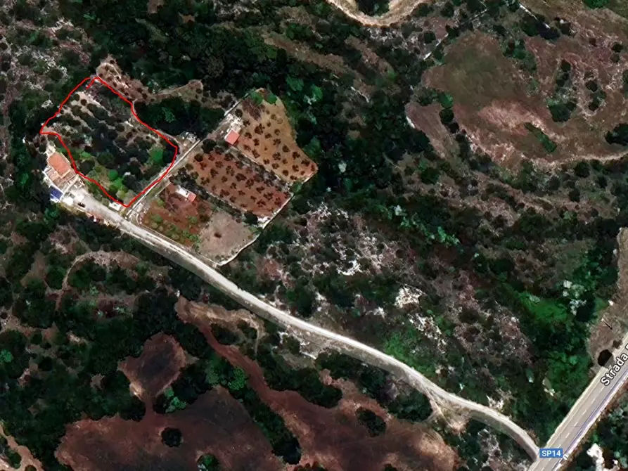 Immagine 11 di Terreno agricolo in vendita  in Strada Provinciale 14 5 a Noto