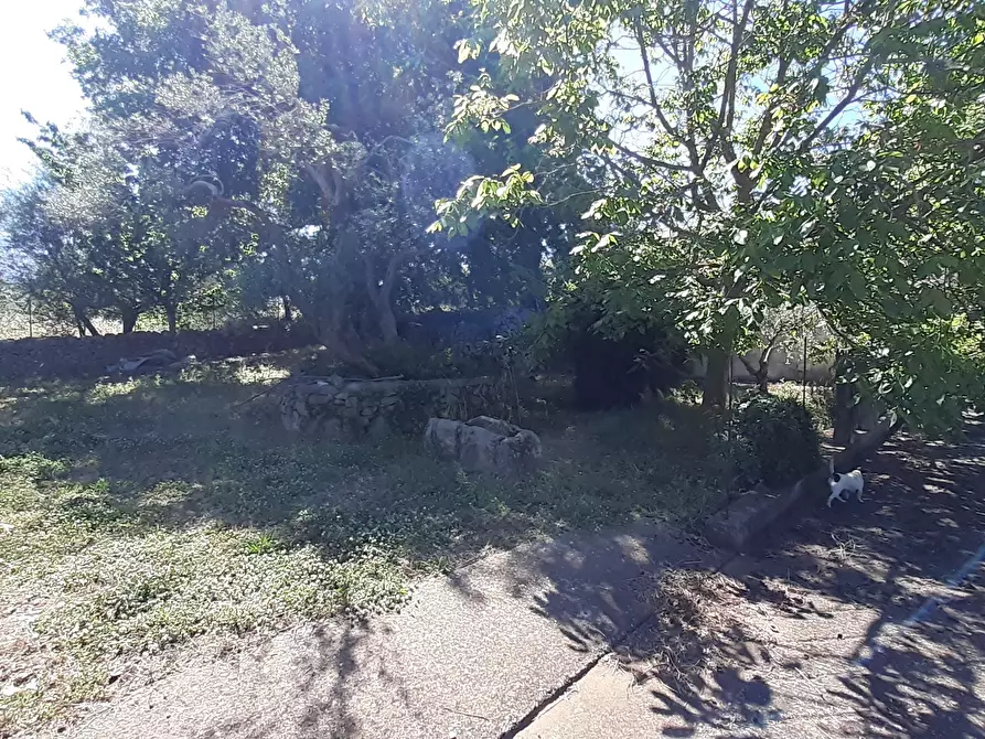 Immagine 32 di Rustico / casale in vendita  in Strada Provinciale 24 21 a Noto