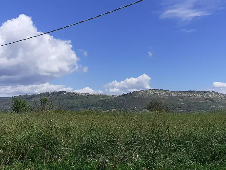 Immagine 2 di Terreno agricolo in vendita  in c.da Poi a Palazzolo Acreide
