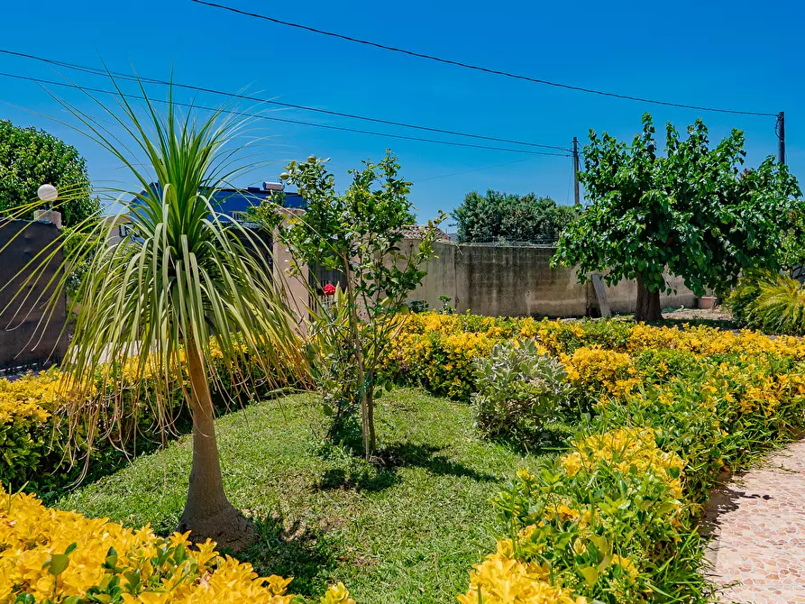 Immagine 4 di Villa in vendita  in Via Olindo Marinelli 66 a Siracusa