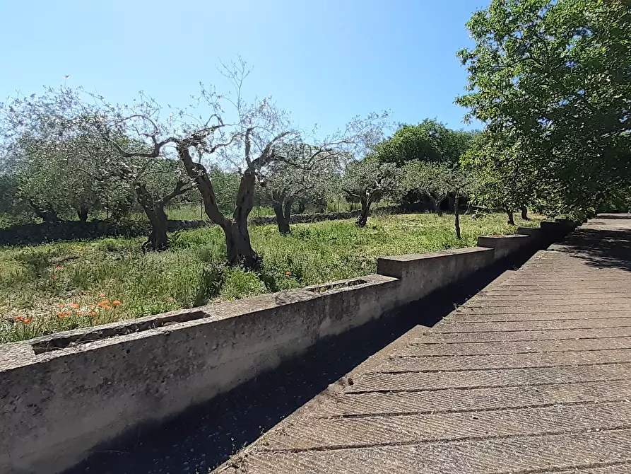 Immagine 21 di Rustico / casale in vendita  in Strada Provinciale 24 21 a Noto