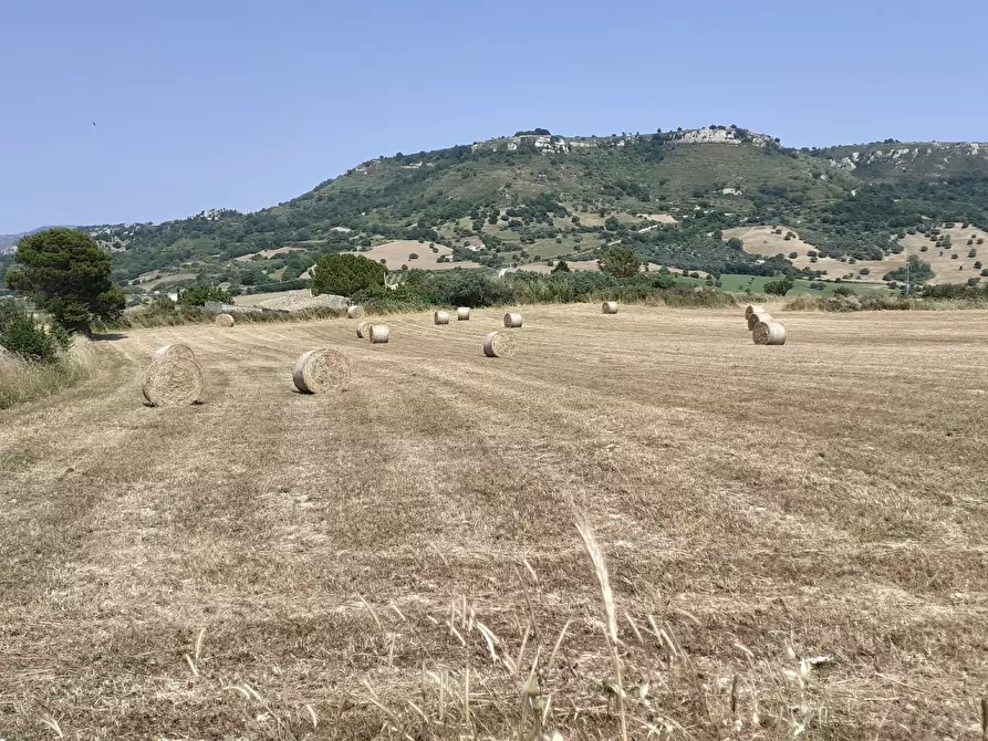 Immagine 20 di Rustico / casale in vendita  in c.da Poi a Palazzolo Acreide