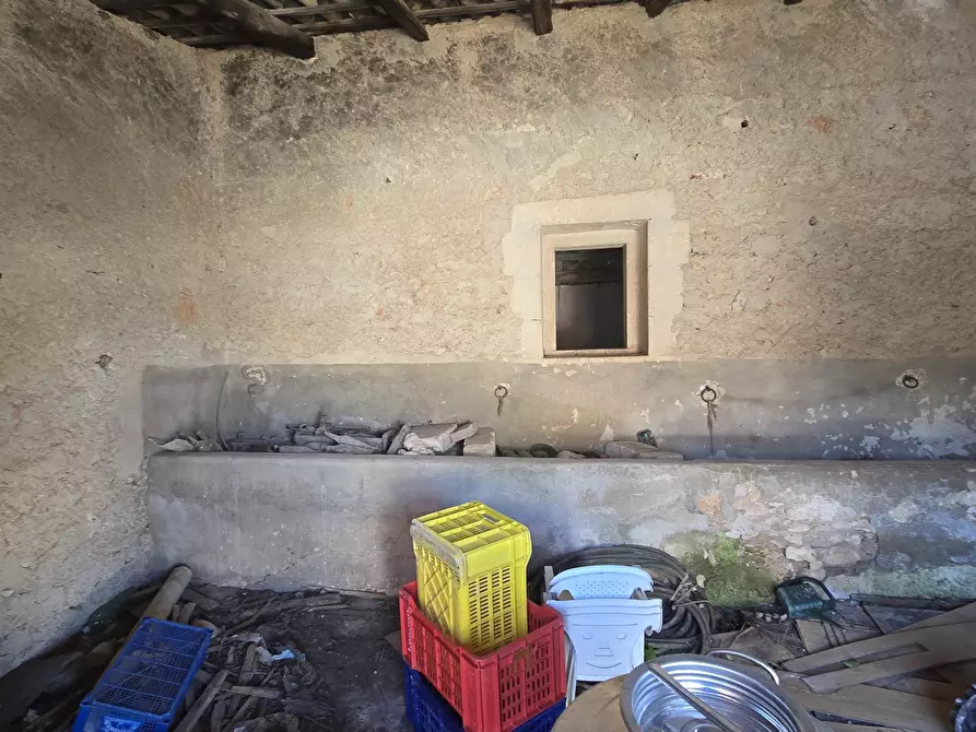 Immagine 22 di Terreno agricolo in vendita  in C.DA CUGNI SNC a Siracusa