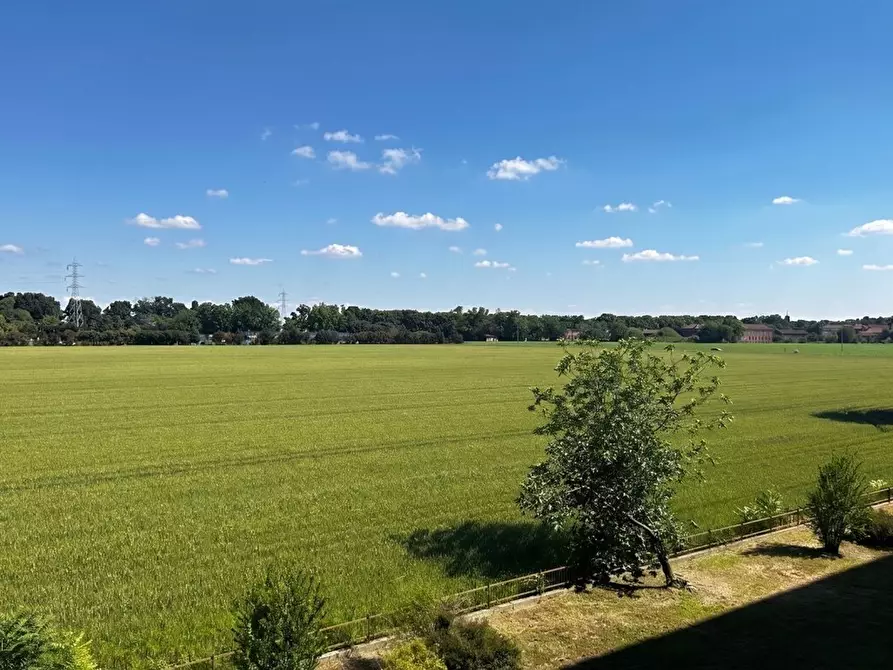 Immagine 8 di Quadrilocale in vendita  in Via Don Minzoni 22 a Beinasco