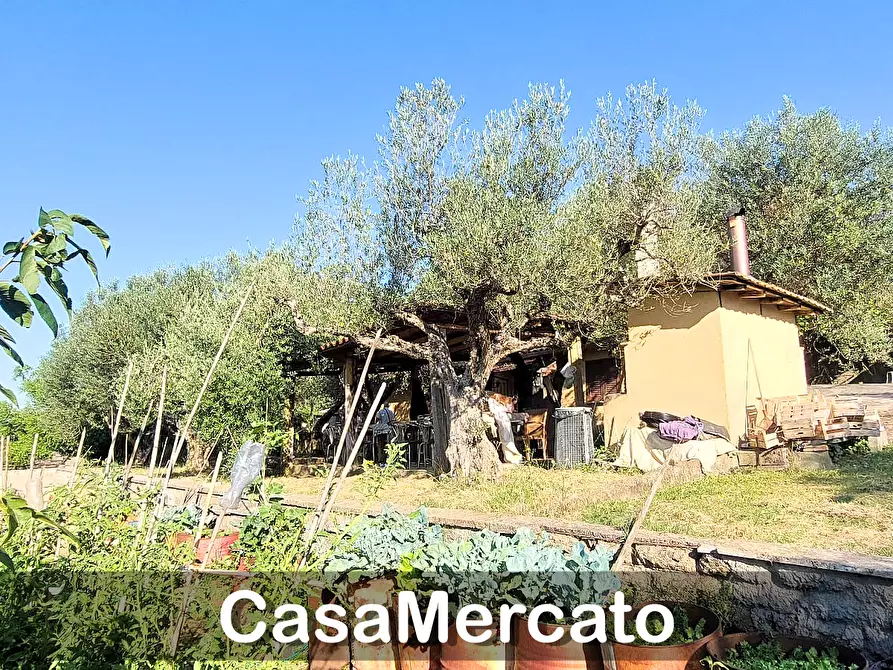 Immagine 3 di Rustico / casale in vendita  in Via del Tuscolo a Grottaferrata