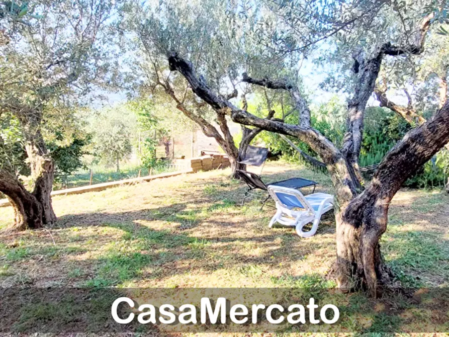 Immagine 15 di Rustico / casale in vendita  in Via del Tuscolo a Grottaferrata