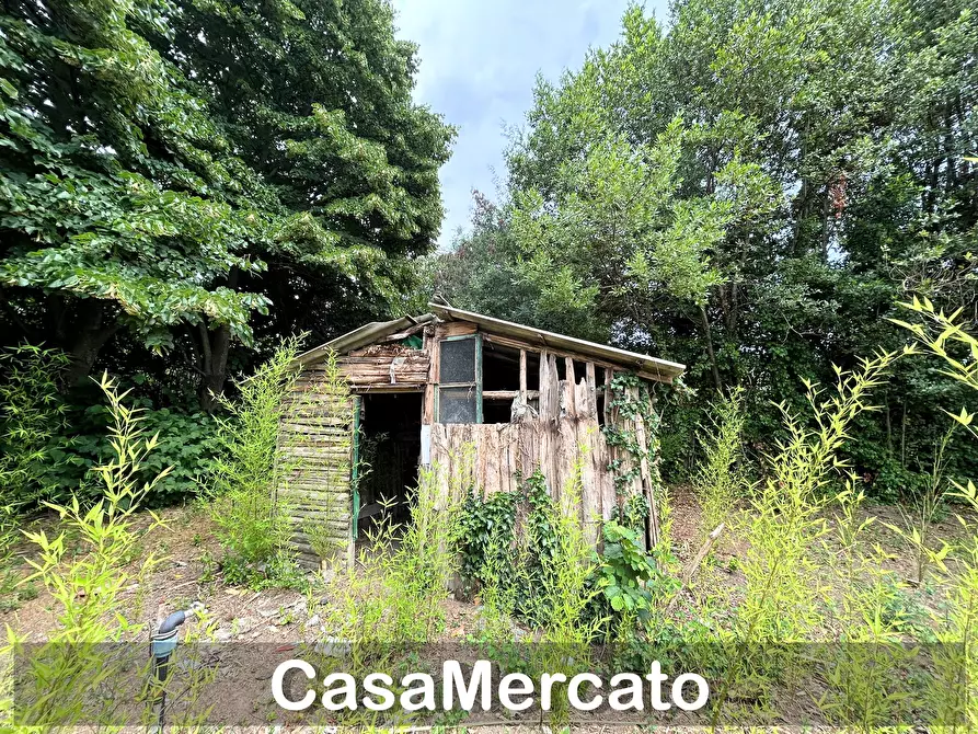 Immagine 2 di Rustico / casale in vendita  a Grottaferrata