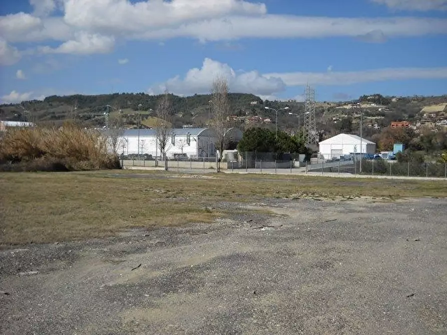 Immagine 7 di Terreno agricolo in affitto  a Grottammare
