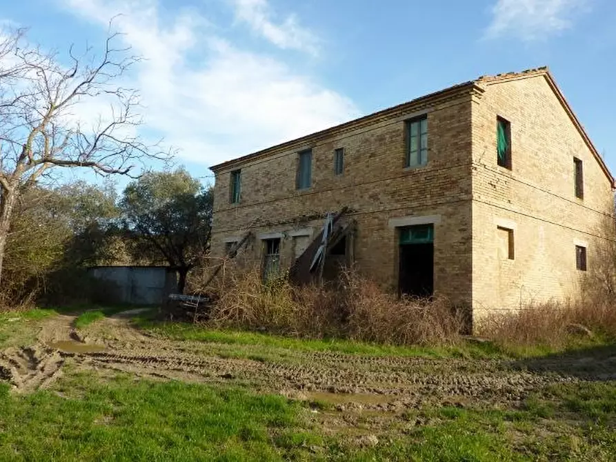 Immagine 16 di Rustico / casale in vendita  a Offida