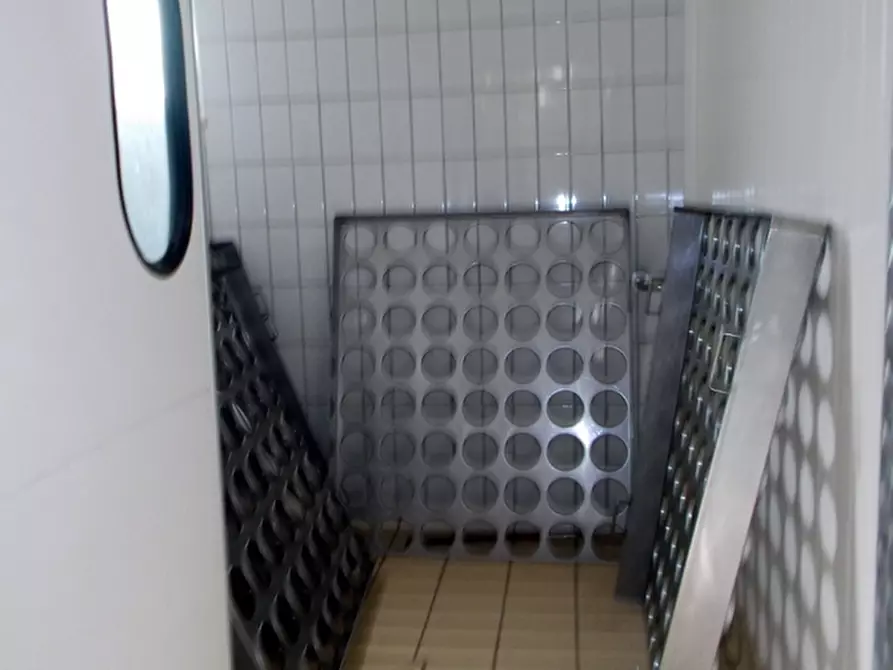 Immagine 7 di Laboratorio in vendita  a Maltignano