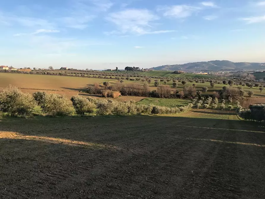 Immagine 12 di Terreno edificabile in vendita  a Colonnella