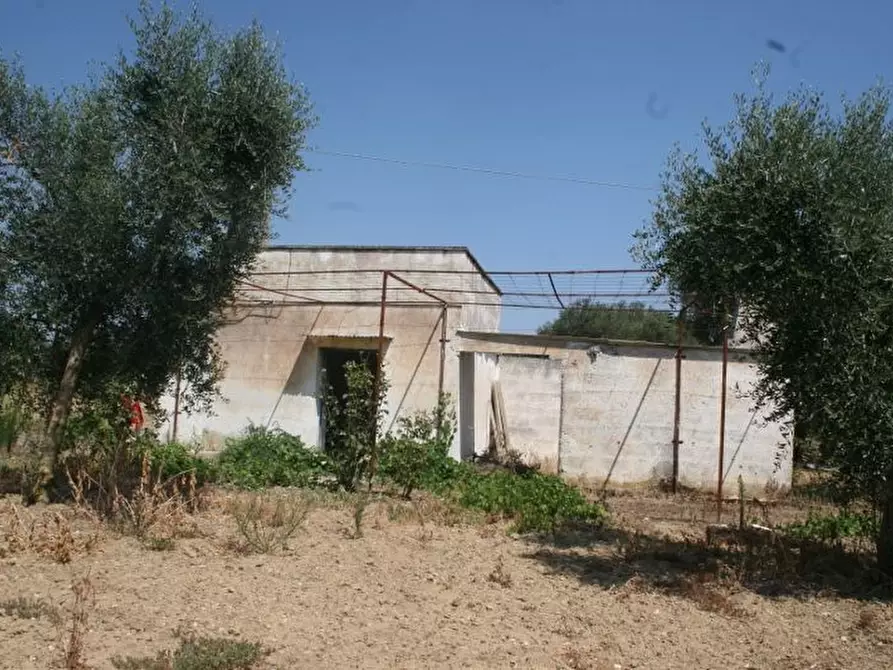 Immagine 12 di Terreno agricolo in affitto  in contrada mandrò a Cutrofiano